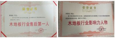 木地板優(yōu)秀行業(yè)優(yōu)秀勞?！陚|